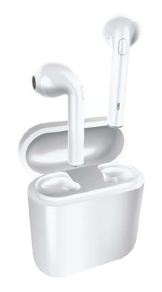 earbuds with charging case