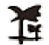 Function Icon