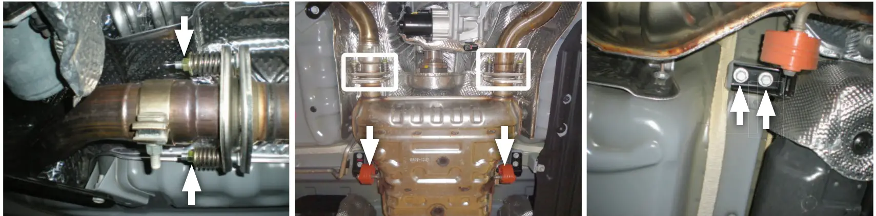 Cat Back Exhaust System