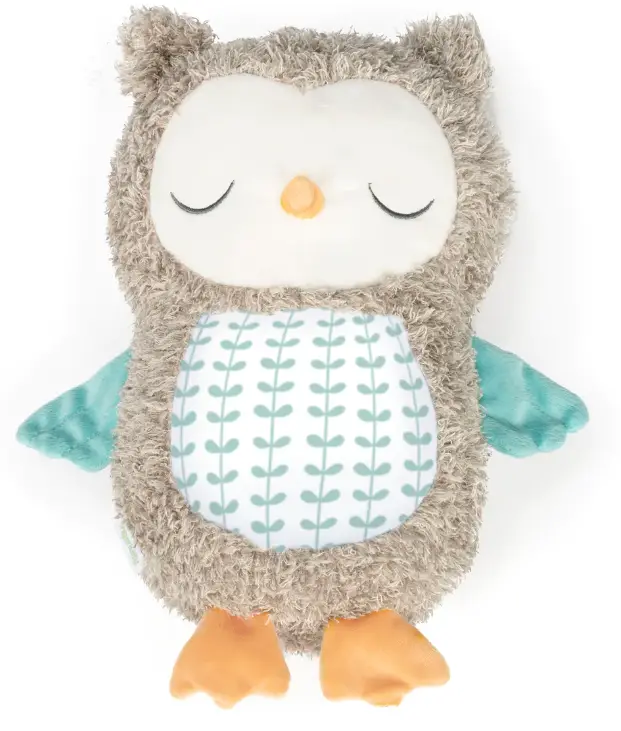 ingenuity-Snuggle-Sounds-Nally-Soothing-Push-Toy-PRODUCT-IMAGE