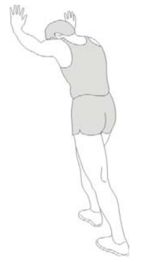 Warm Up/cool Down Exercises