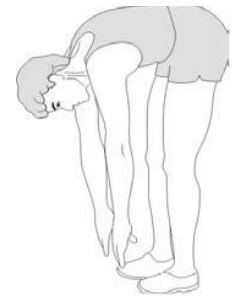 Warm Up/cool Down Exercises