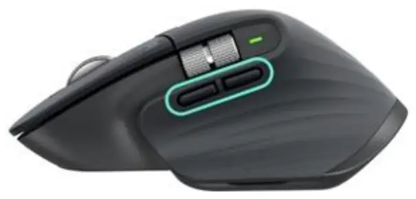 Back/Forward buttons