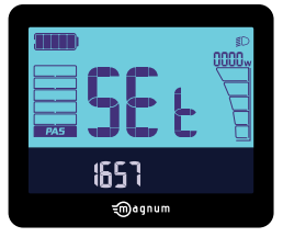 magnum Premium III 500W Electric Bike - Interface 6