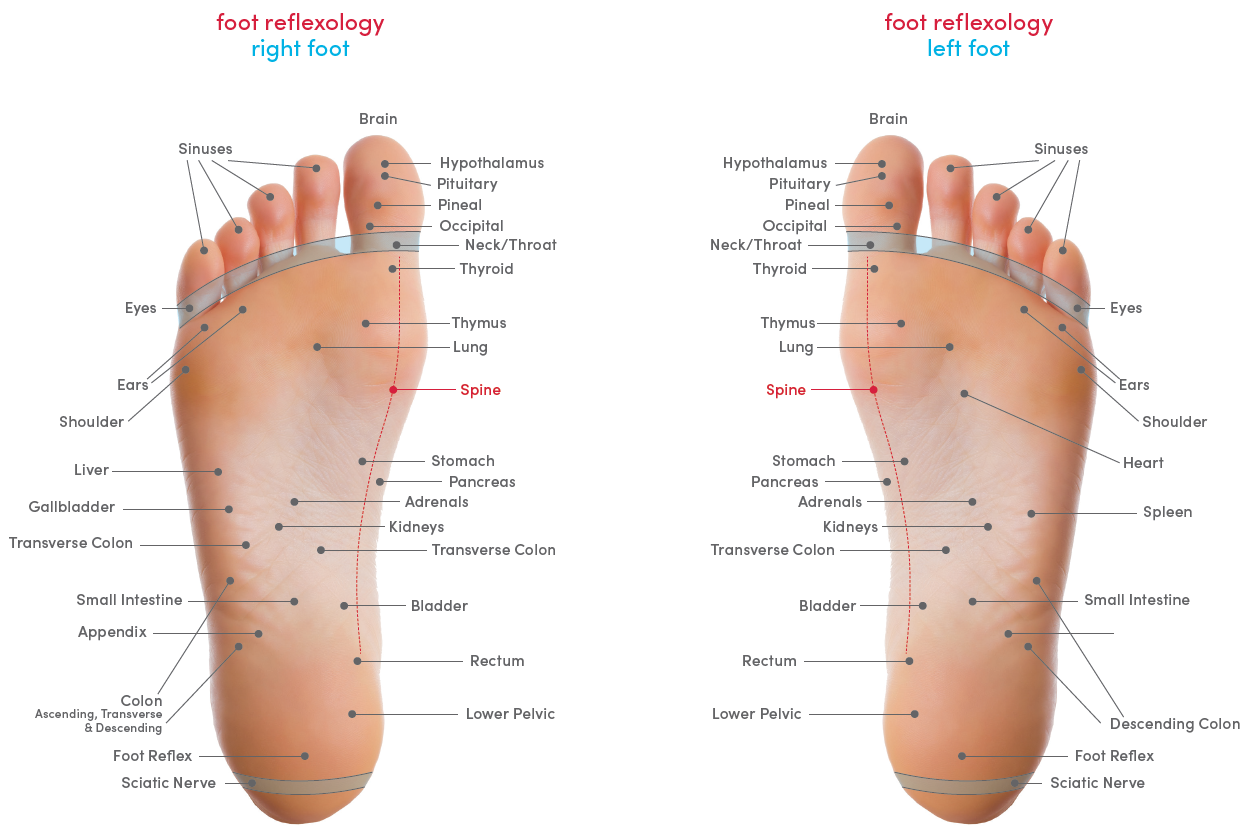 med-massager-MMF07-Body-And-Foot-Massager-FIG- (18)