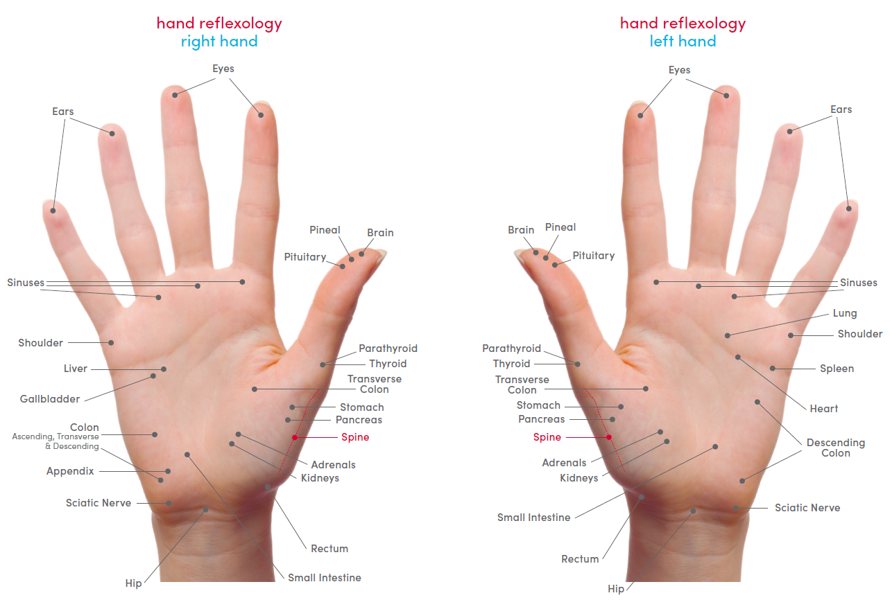 med-massager-MMF07-Body-And-Foot-Massager-FIG- (19)