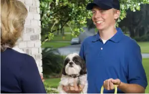 pet sitters