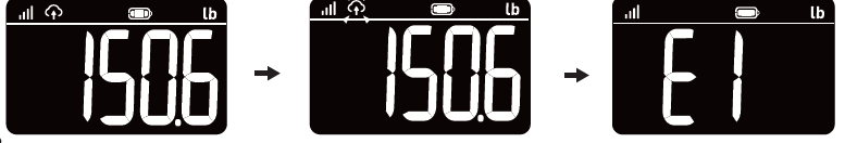 pylo-300-LTE-Weight-Scale-Plus-fig-13