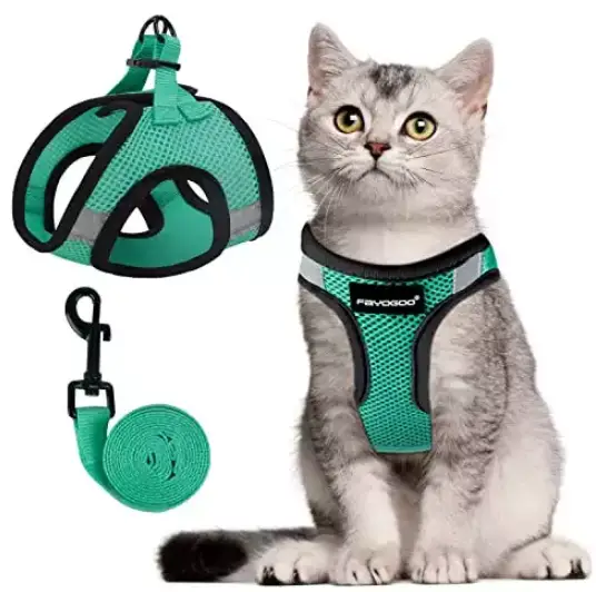 rabbitgoo-Supet-Cat-Harness-and-Leash-Set-product