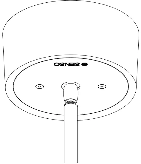 senso-LETO-11-and-11-5-Wet-Canopy-with-Hand-Straight-Solid-Stem-product