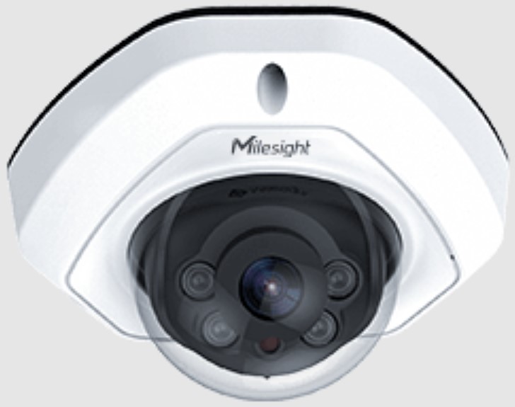 WORLD EYECAM A994 Vandal Proof Dome Network Camera