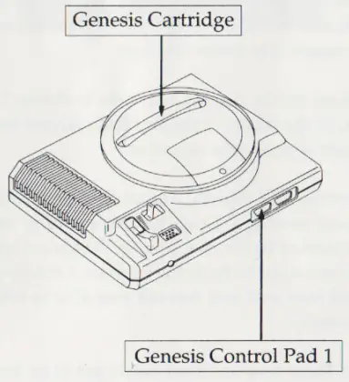 1-800-USA-Sega-Genesis-Last-Battle-FIG-2