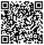 ALTAIR AMP25B TD BU Combination Remote Control - MOTOR