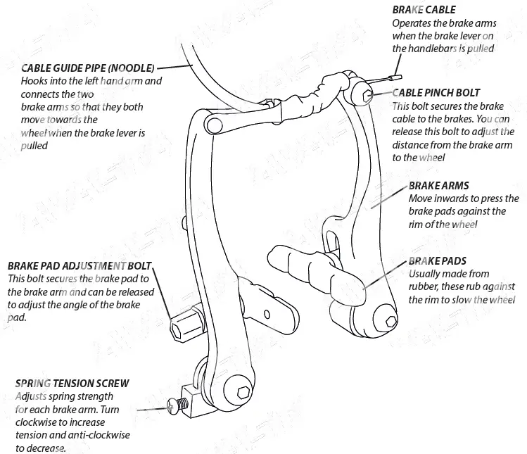 AVASTA-BIKES-0A003-Populus RoadHybrid-Bik-23