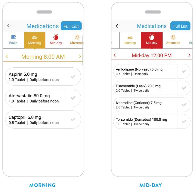 Abbott-CardioMEMS-App-FIG-17