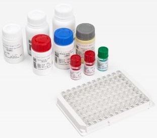 Abcam-EIA-6132-Bordetella-Pertussis-Toxin -PT)-IgA-ELISA-Kit-FIG-1