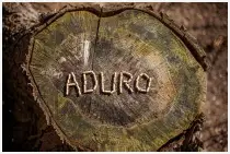 Aduro-15-Lux-Black-Glass-Door-Wide-Wood-Burner-fig1