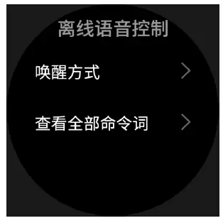 Offline Voice 