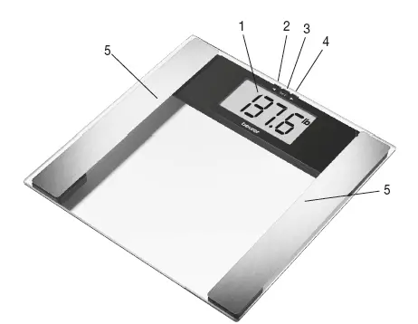 Beurer-BG-17-Glass-Body-Analysis-Scale-fig- (1)
