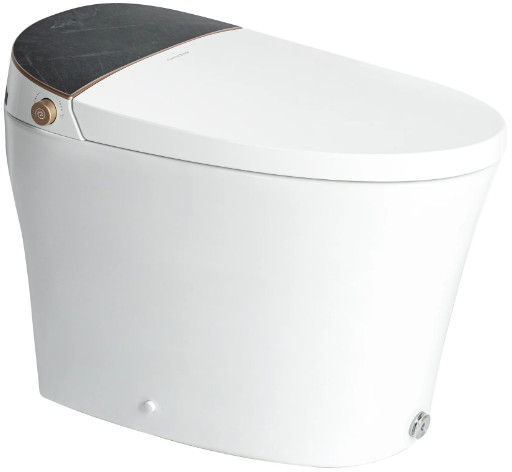 Casta Diva CD Y010S Smart Toilet with Built Bidet