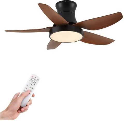 Chriari-Modern-Ceiling-Fans-with-Lights-PRODUCT