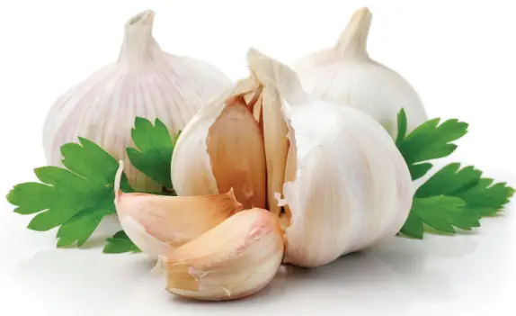 Classic Sauces Plant Forward Menuing - figure 13
