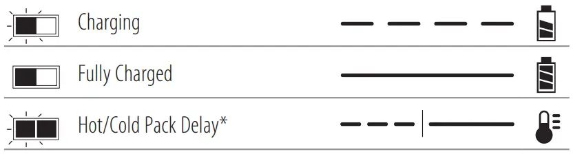 Charge Indicators