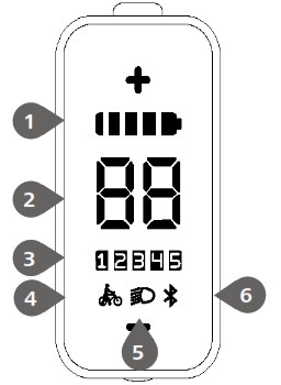 DP E161 CAN 7 Dealer - DISPLAY 1