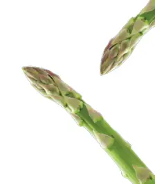 Salmon & Asparagus
