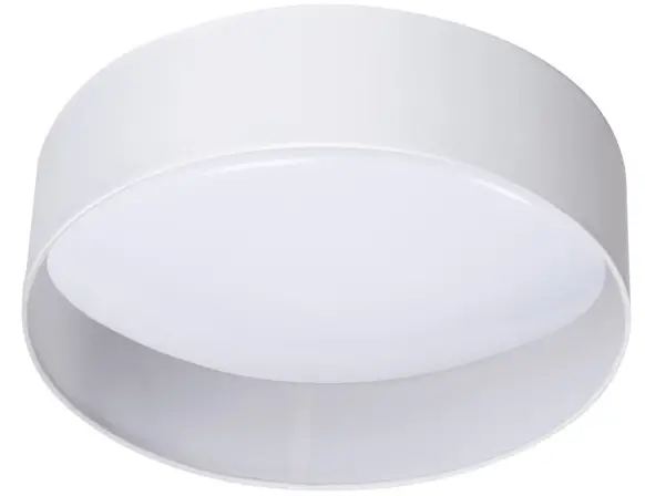 ERTON-Ceiling-Mounted-LED-Ligh-PRODUCT