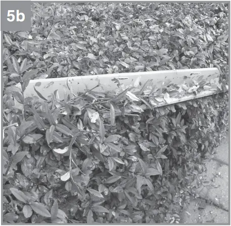 Einhell GE-CH 36-61 Li - Fig. 5b