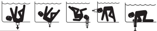 FIG 1.JPG