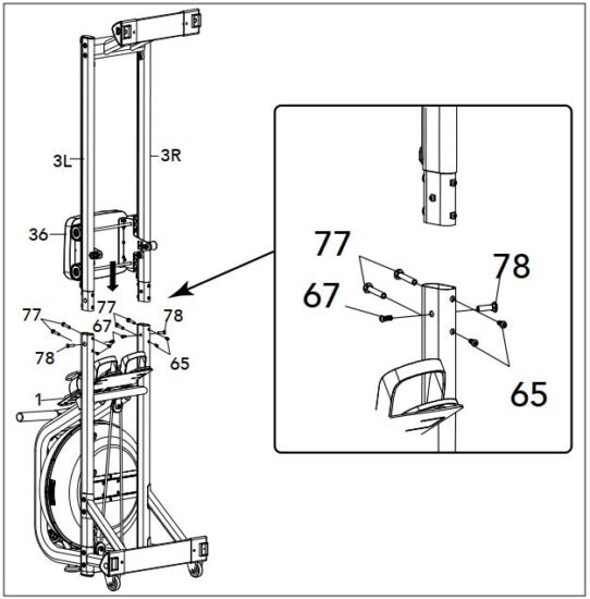 FIG 12.JPG