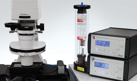 FIG 3 Establish in Vivo-Like Conditions.jpg