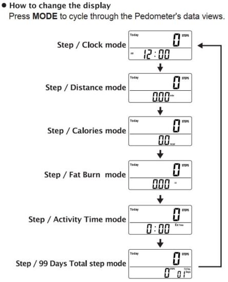 FIG 6 Using your Pedometer.JPG
