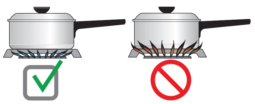 FRIGIDAIRE cfe4287a 30 Inch Stainless Steel Pro Style Gas Range - flame