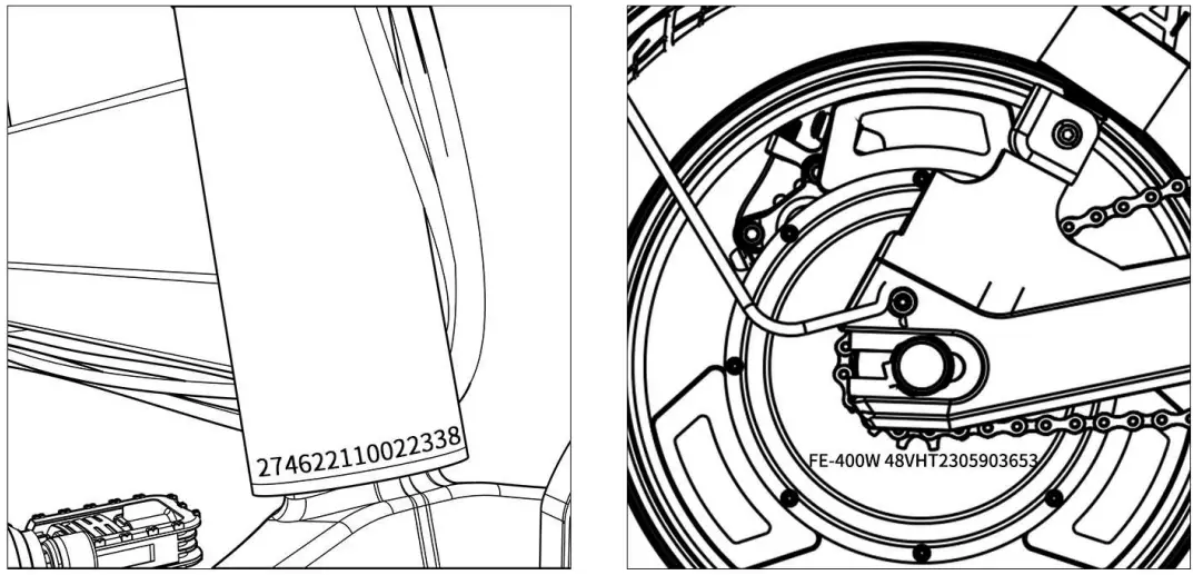 Frame Number And Motor Number