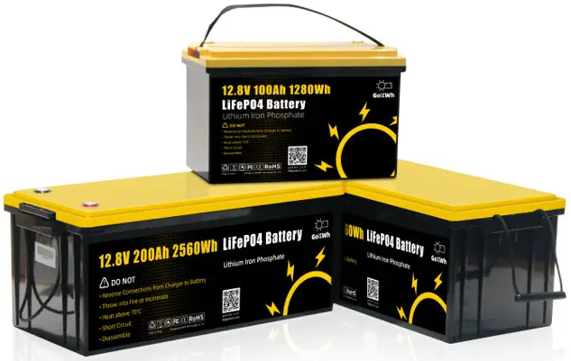 GoKWh 12V & 24V Series Smart Bluetooth and LCD Display 12V 100Ah