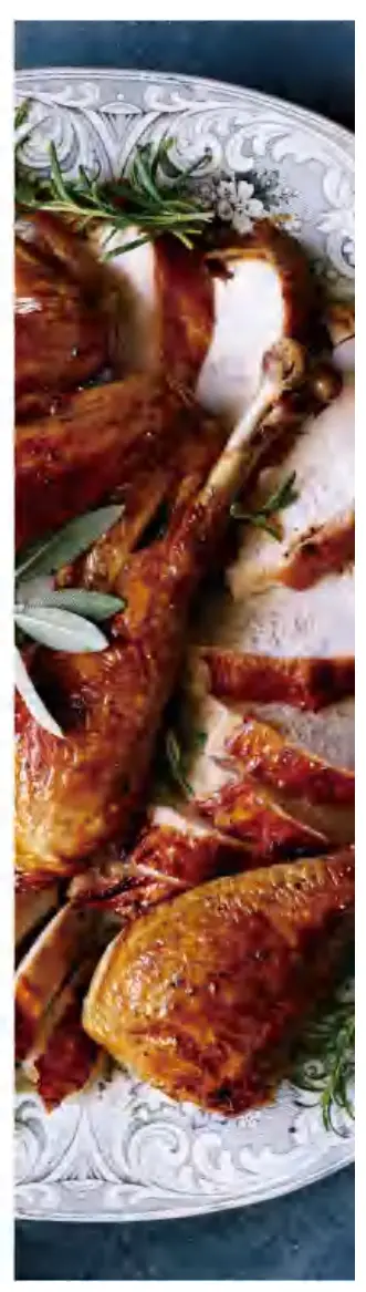 HITECLIFE Palla Air Fryer Toaster Oven - turkey