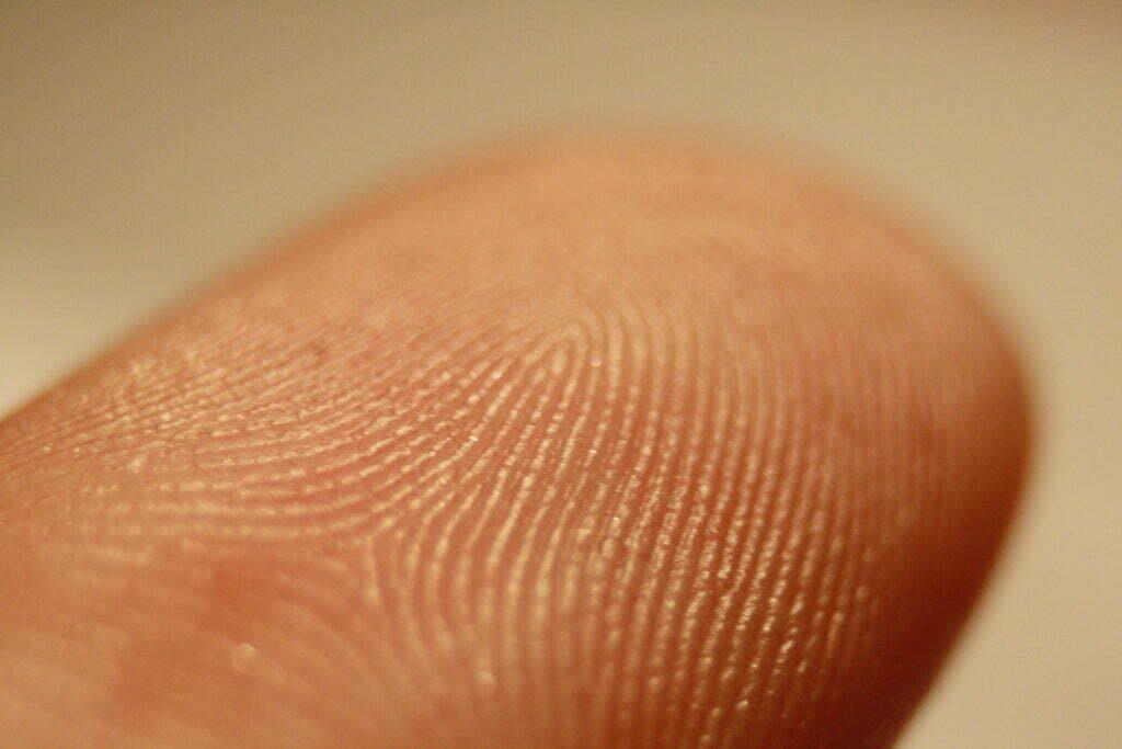HT AS608 Optical Finger Print Sensor Module - Mechanical Dimension 11
