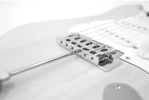 Harley Benton ST-LH ST-Style Electric Guitar Kit - buttons5