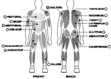 IRON-BODY-92253--Door-Gym-Pull-Up-Bar-and-Chin-UpBar-FIG-1