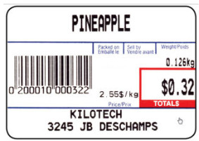 KILOTECH Integrator C Retail Scale - Print format 4