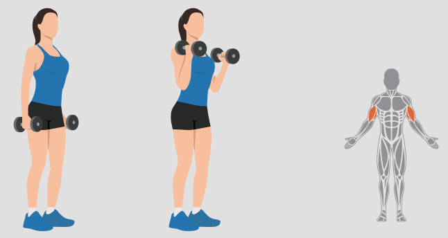 LUSPER Dumbbell Set Adjustable Weights - Standing Dumbbell Hammer Curl