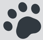 Meowant MW PV01 Pet Grooming Kit - Icon4