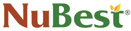 NuBest-logo