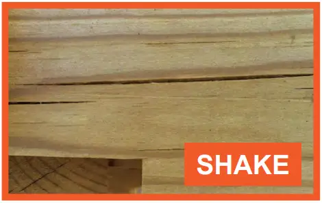 PLANTERS Veg Trough Planter Box - Shake