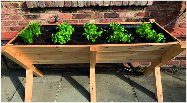 PLANTERS Veg Trough Planter Box