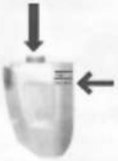 Pugdoctor 93407 Portable Spot Cleaner - Add Hot Water