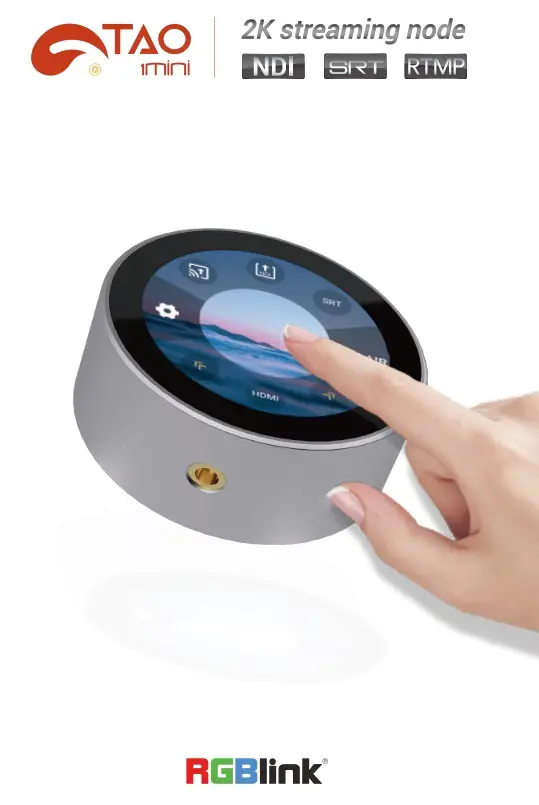 RGBlink 1mini-HN USB-HDMI Streaming Node Owner's Manual